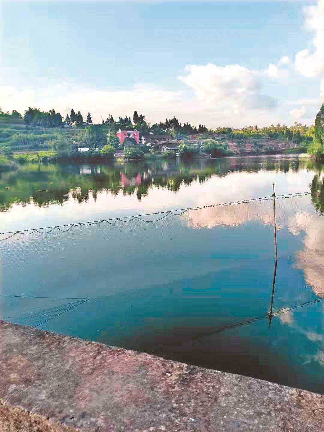 15个月了 水库鱼塘承包权仍未收回 水务局调查水质确有污染　岩峰信访办表示不影响生活灌溉